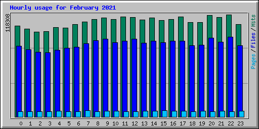 Hourly usage for February 2021